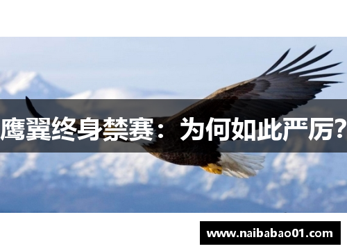 鹰翼终身禁赛：为何如此严厉？
